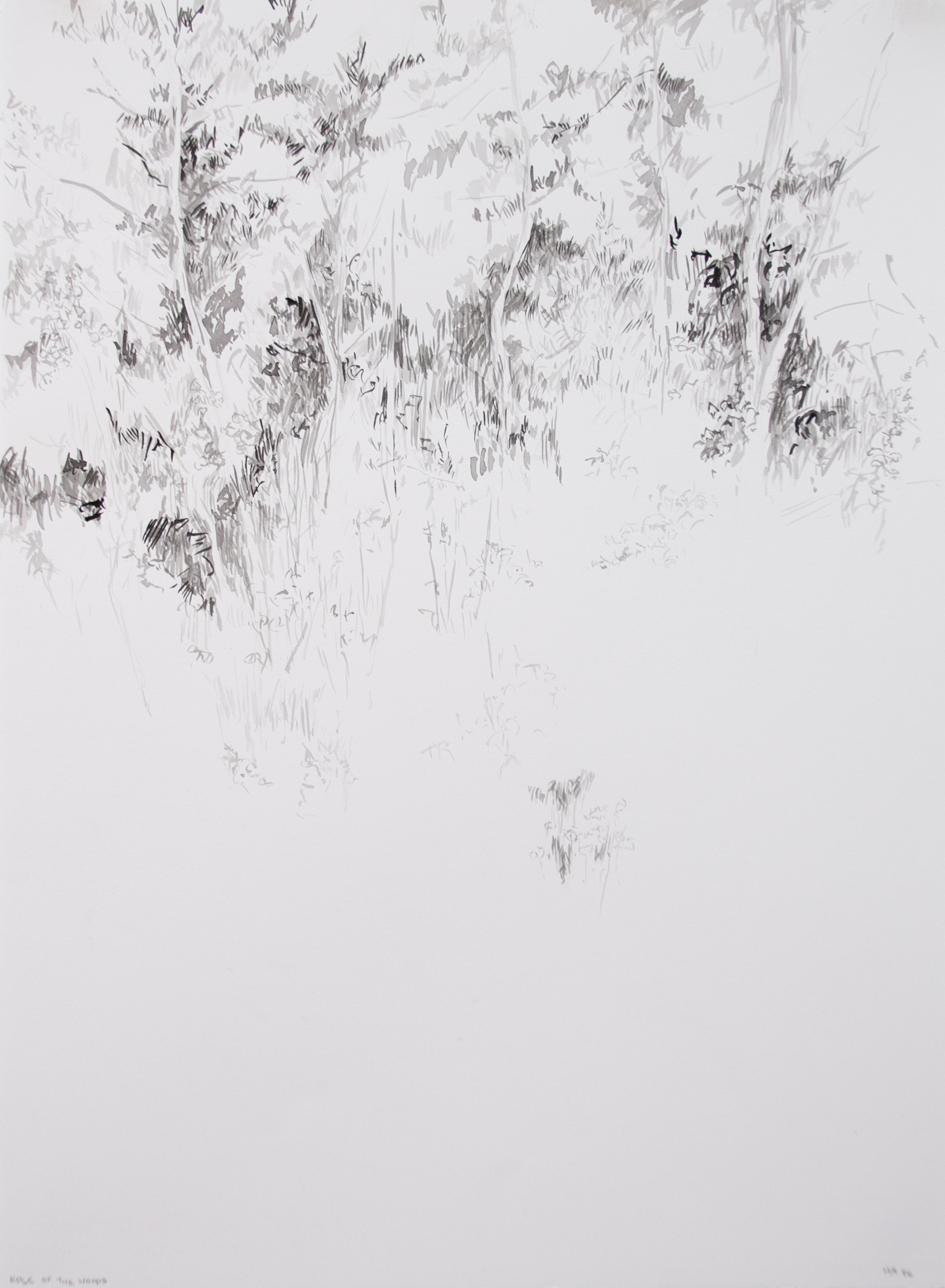 Edge of the Woods - Watercolor