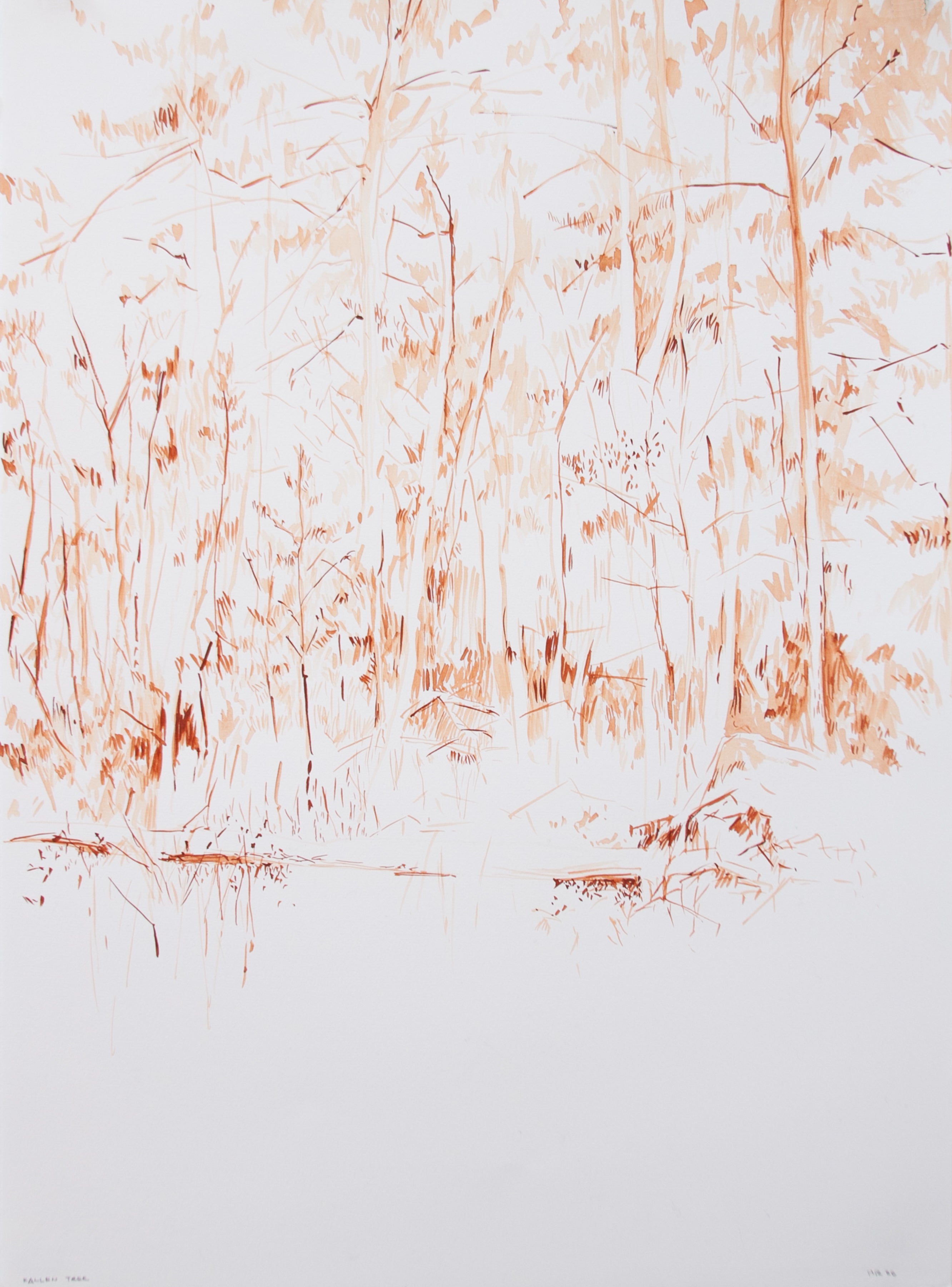 Fallen Tree - Watercolor