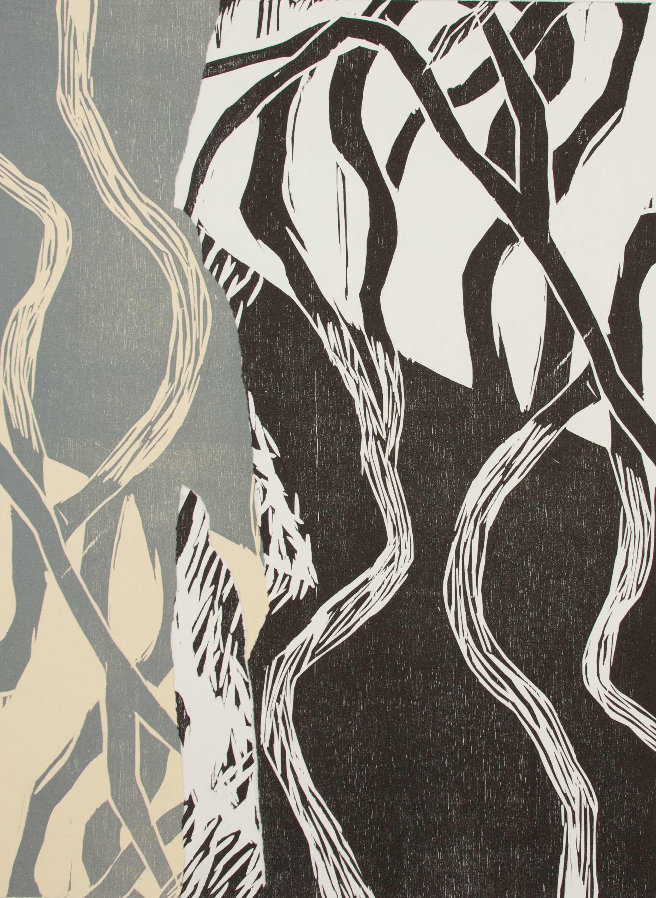 Wilder Places IV - Woodcut Collage