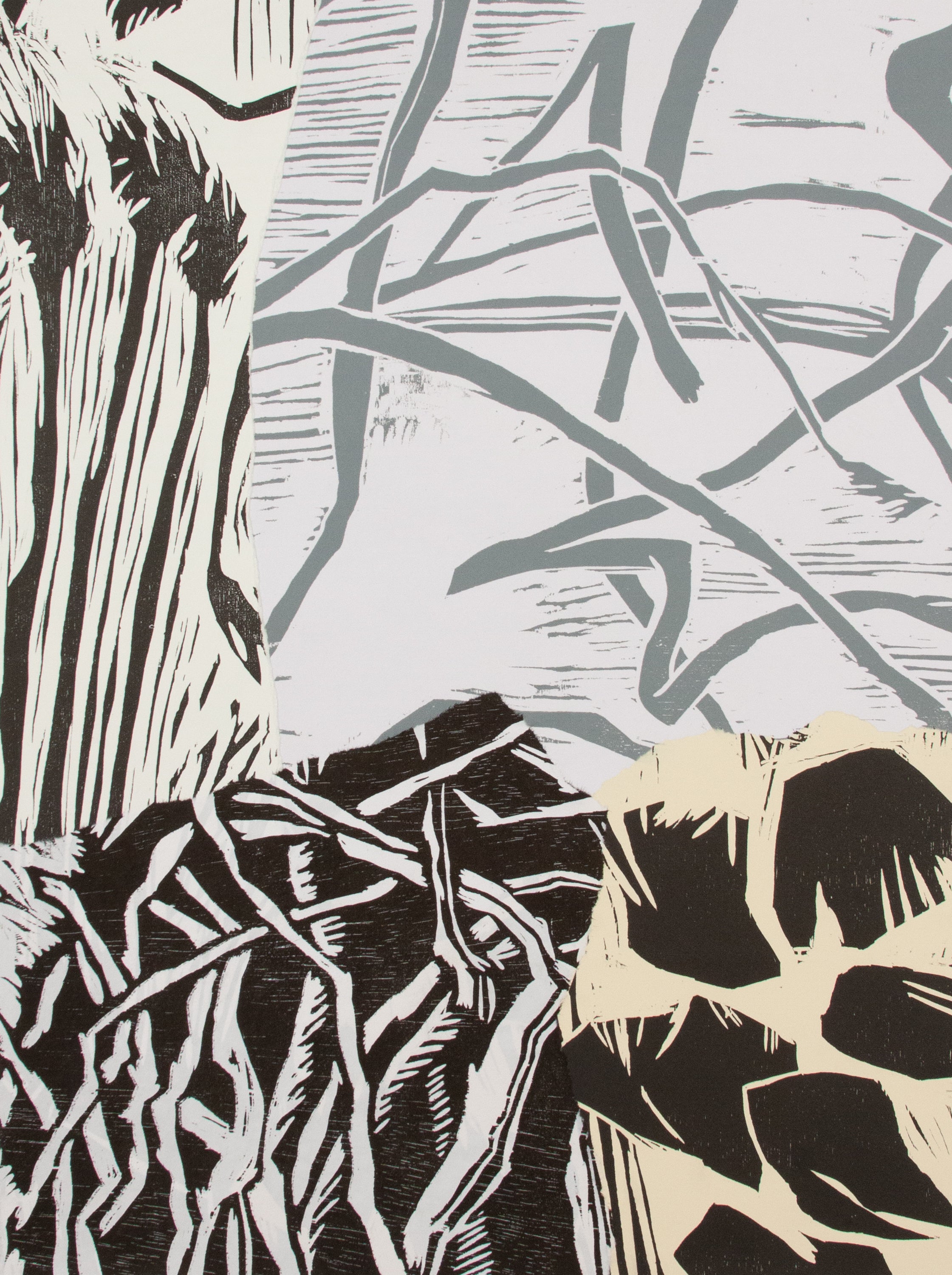 Wilder Places V - Woodcut Collage